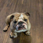 bubbles almendariz Gallery