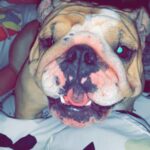 bubbles almendariz Gallery