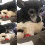 fufi jimenez Gallery