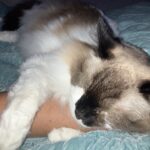 macgregor mosher Gallery