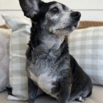 fufi jimenez Gallery