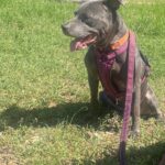 pookie salter Gallery