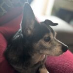 fufi jimenez Gallery