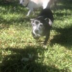 fufi jimenez Gallery