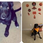 sox almaguer Gallery