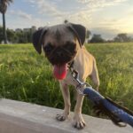 russell cazares Gallery