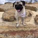 russell cazares Gallery