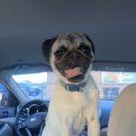 russell cazares Gallery