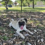 russell cazares Gallery