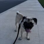 russell cazares Gallery