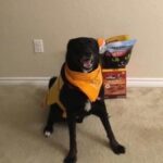 sox almaguer Gallery