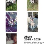 akyra gutierrez Gallery