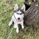 akyra gutierrez Gallery