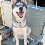 akyra gutierrez Gallery