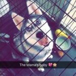 akyra gutierrez Gallery