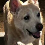 lucy hernandez Gallery