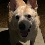 lucy hernandez Gallery