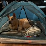 lucy hernandez Gallery