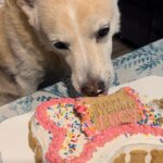 lucy hernandez Gallery