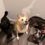 lucy hernandez Gallery