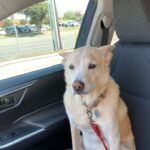 lucy hernandez Gallery