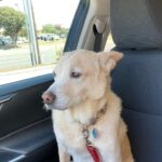 lucy hernandez Gallery