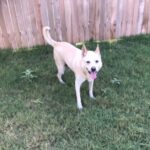 lucy hernandez Gallery