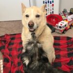 lucy hernandez Gallery