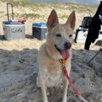 lucy hernandez Gallery