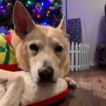 lucy hernandez Gallery