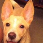 lucy hernandez Gallery