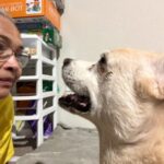 lucy hernandez Gallery