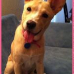 lucy hernandez Gallery