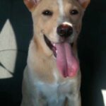 lucy hernandez Gallery