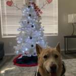 lucy hernandez Gallery