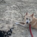 lucy hernandez Gallery