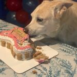 lucy hernandez Gallery