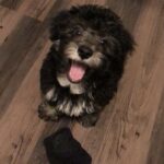 asher williams Gallery