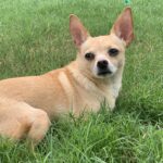 brownie villanueva Gallery