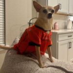 brownie villanueva Gallery