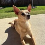 brownie villanueva Gallery