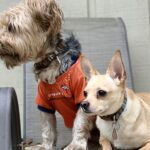 brownie villanueva Gallery