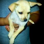 brownie villanueva Gallery