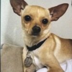 brownie villanueva Gallery