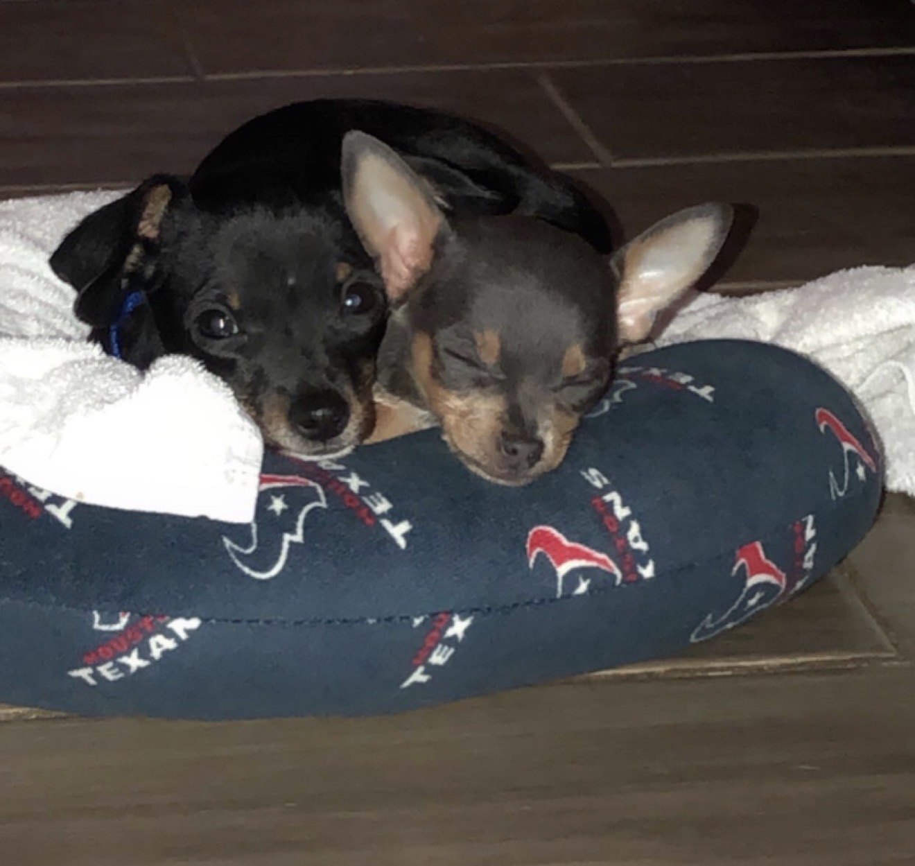 roscoe jenkins  & chico bean