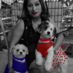 spanky gonzales Gallery
