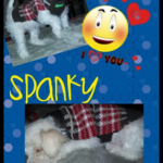 spanky gonzales Gallery