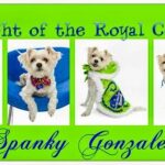 spanky gonzales Gallery
