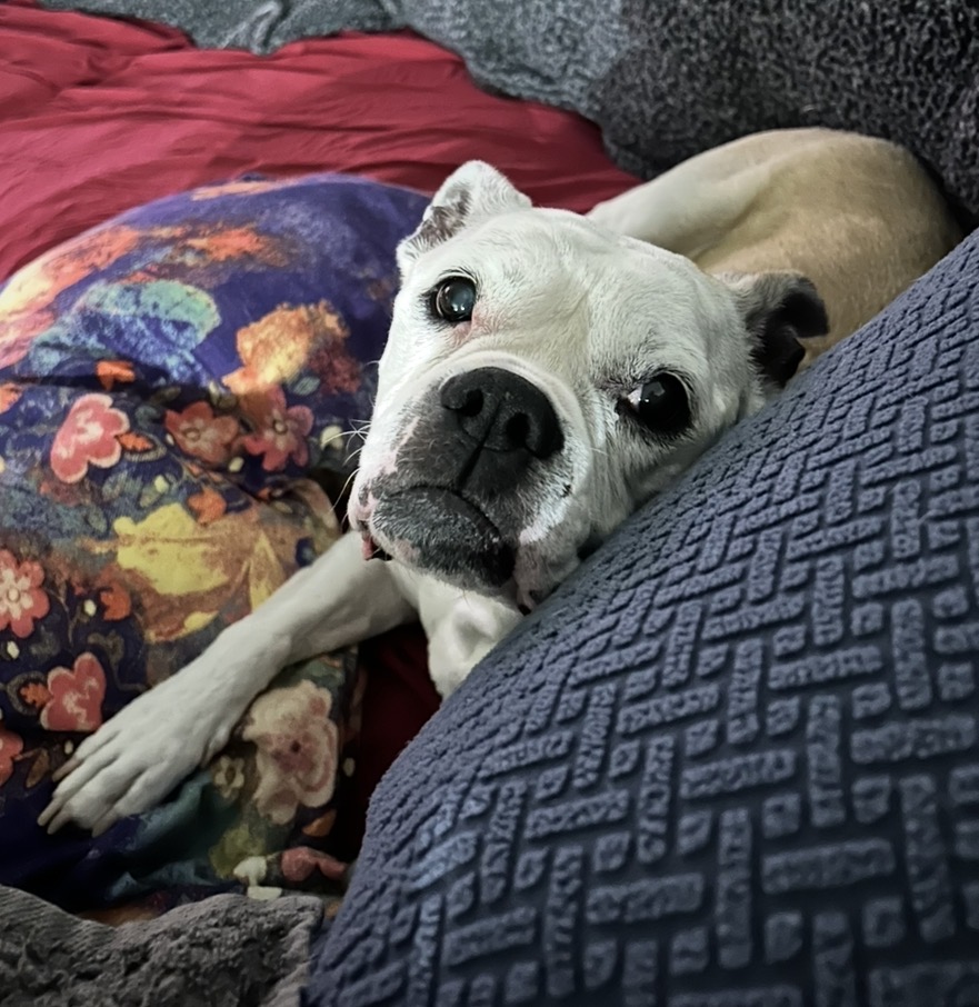 allie martinez