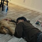 charlie longoria Gallery